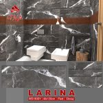 لارینا