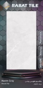 ماکسیم طوسی روشن